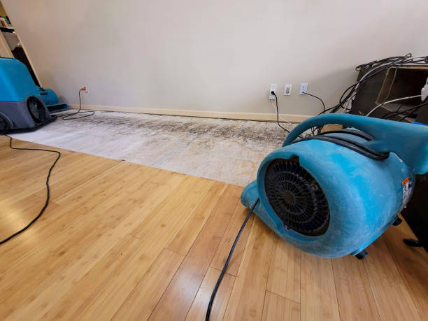 Professional Emergency Water Damage technician working in Forest, MS